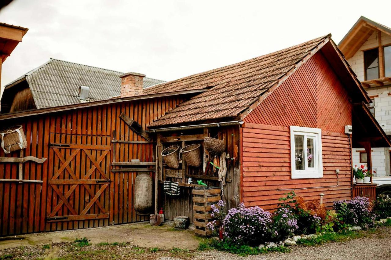 Casa Pintea De Sub Coasta