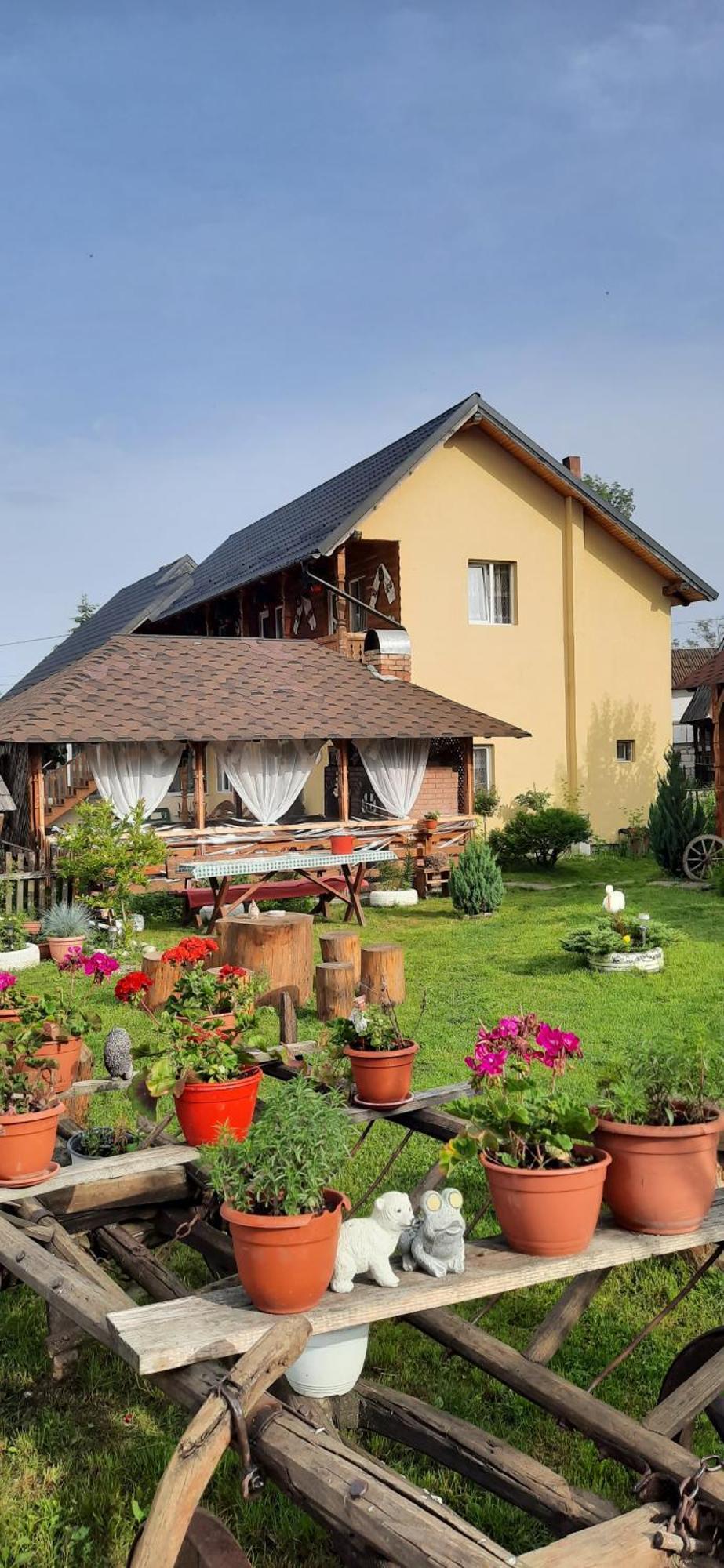 Privatunterkunft Casa Pintea De Sub Coasta *