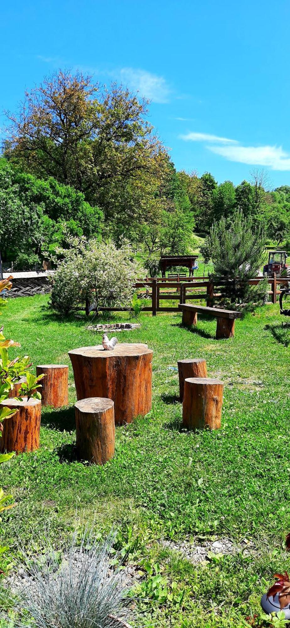 Alloggio in famiglia Casa Pintea De Sub Coasta *