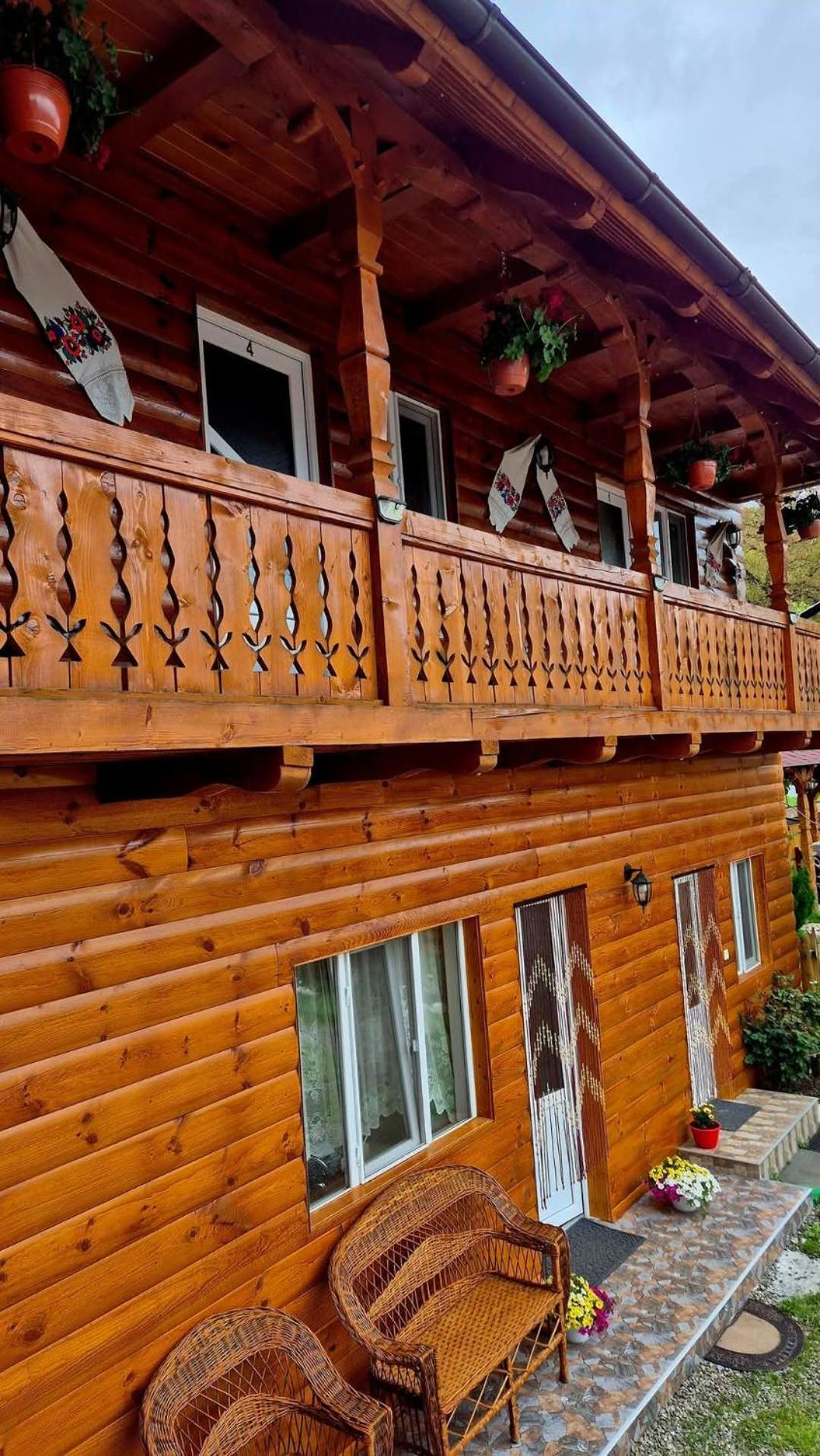 Casa Pintea De Sub Coasta Alloggio in famiglia Breb